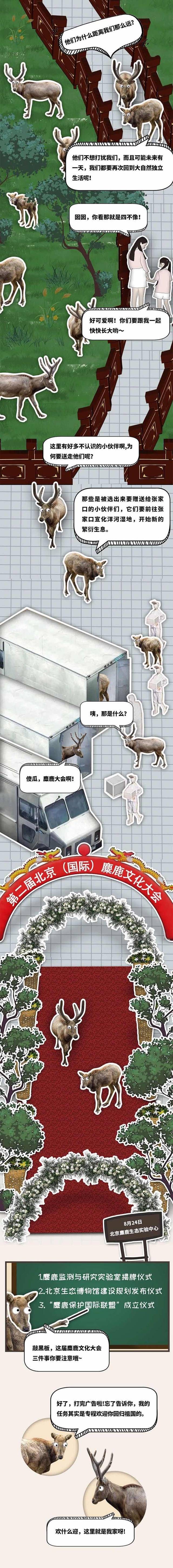 它曾是姜子牙的宠物坐骑，下线多年后在大兴“再出道”