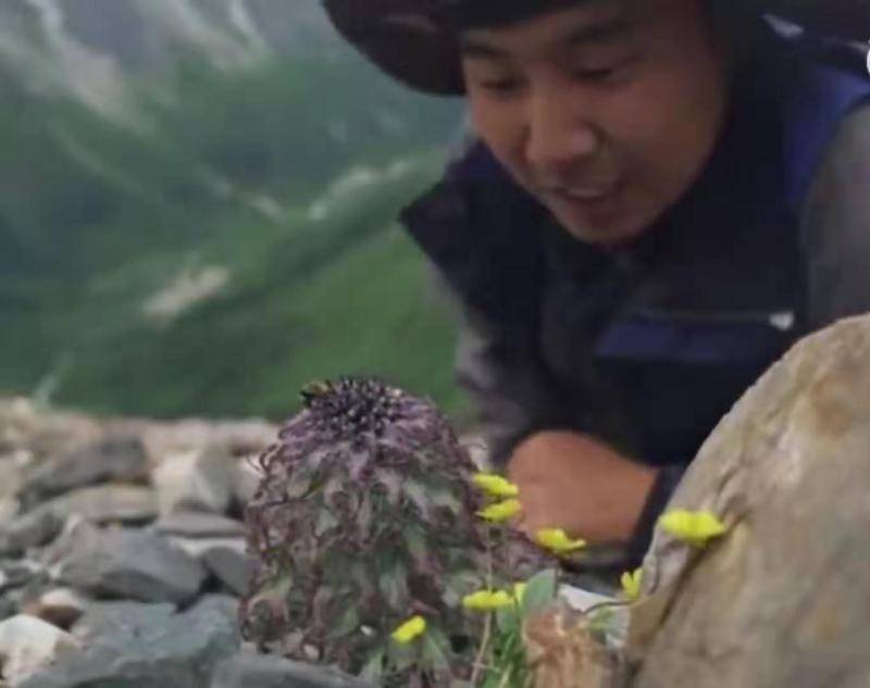 美食博主拿雪兔子煮泡面，这一口太要命