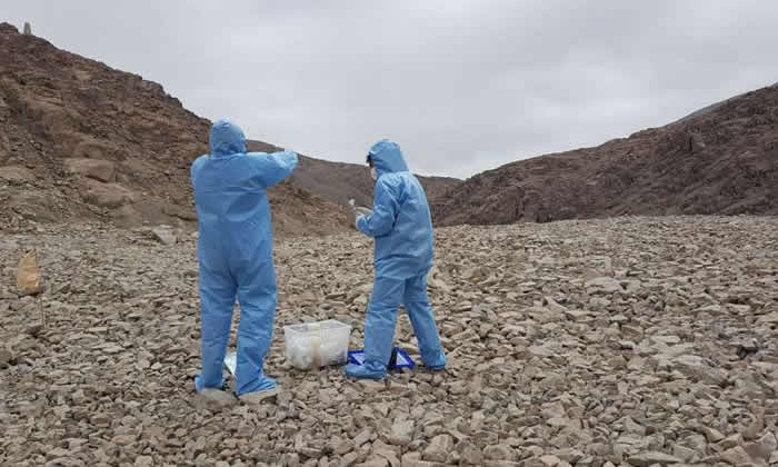 从阿塔卡马沙漠的微生物看火星生命