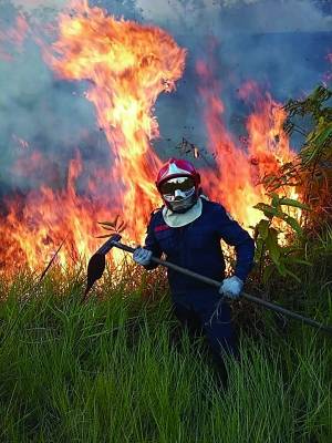 “地球之肺在燃烧”