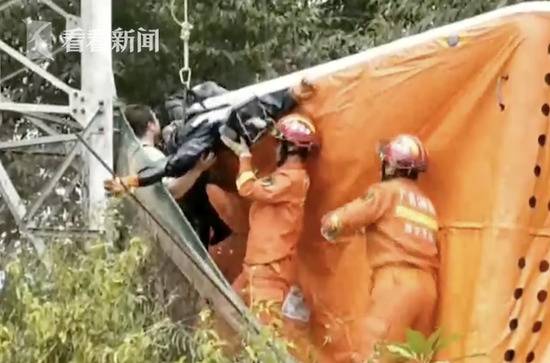 男子穿绝缘防蜂服爬高压电塔摘蜂窝 仍遭电击被困