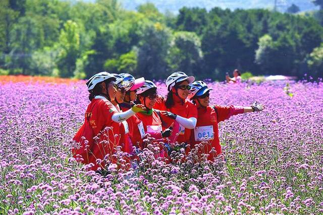 世园会志愿者骑游花海延庆四海“赏花季”启动