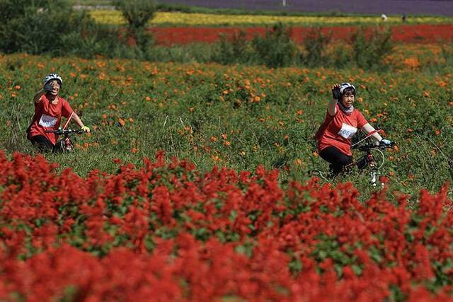 世园会志愿者骑游花海延庆四海“赏花季”启动