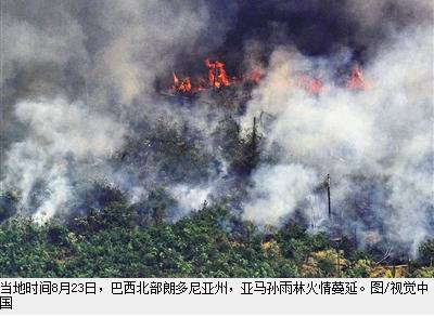 亚马孙雨林大火或造成永久性伤害 将造成哪些影响