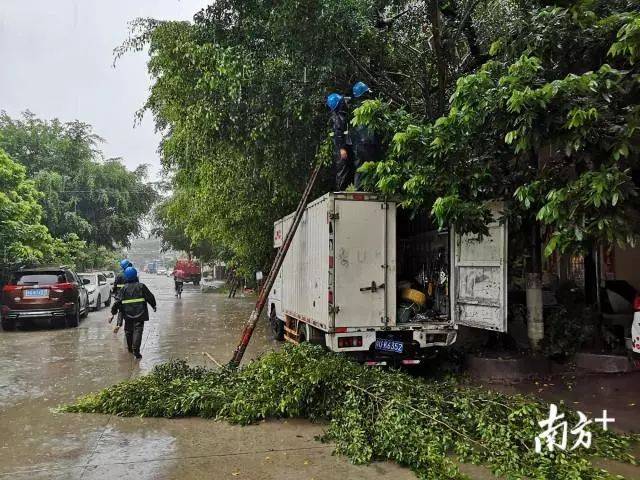 台风“白鹿”已入粤！特大暴雨将横扫这些地方！海陆空交通受阻