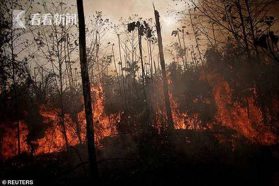 亚马孙雨林被烧成平地像世界末日 土著女子哭诉