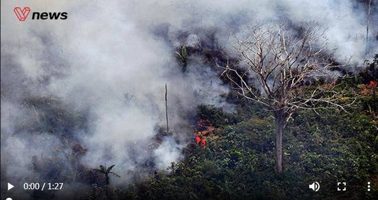 如果亚马孙雨林被大火烧光 多地四季交替或将消失