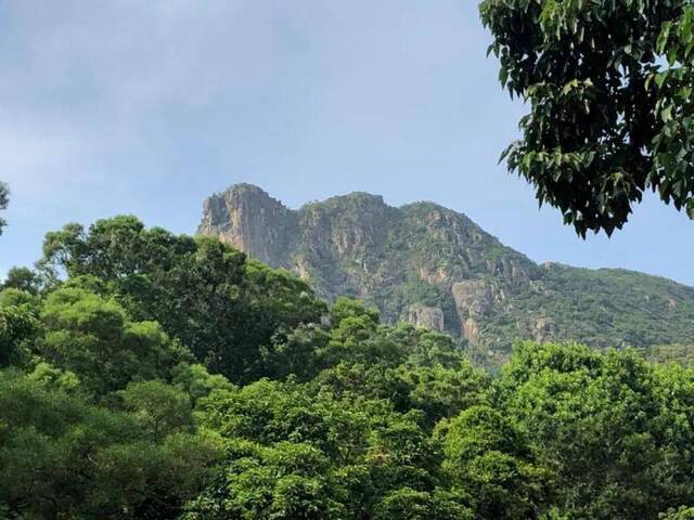 （承载着“香港精神”的狮子山，是香港本地人休闲锻炼的好去处。范凌志摄）