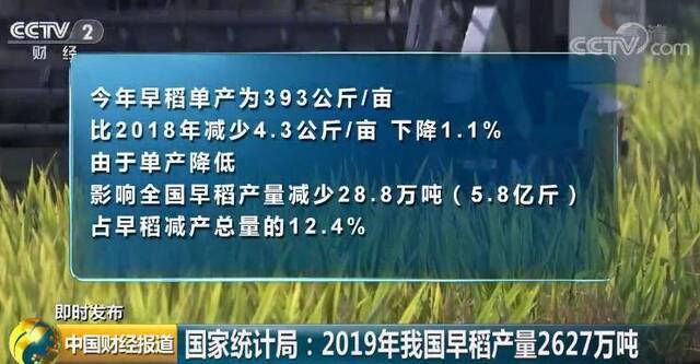 国家统计局：2019年我国早稻产量2627万吨