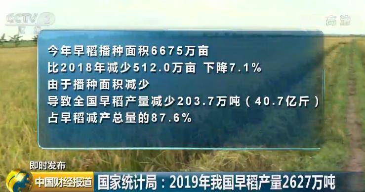 国家统计局：2019年我国早稻产量2627万吨