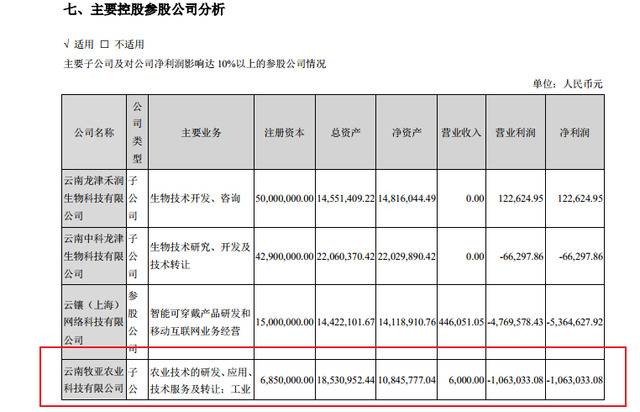 龙津药业上半年净利下滑87% 旗下工业大麻子公司亏损