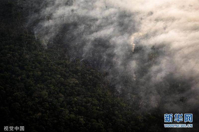 实拍巴西亚马孙雨林大火浓烟滚滚满目疮痍