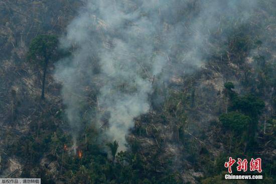 一场大火成“罗生门”巴西拒外国援助亚马孙雨林