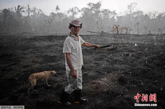 一场大火成“罗生门”巴西拒外国援助亚马孙雨林