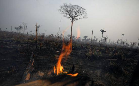 8月24日，在巴西亚马孙州博卡-杜阿克里，亚马孙雨林大火持续。图/视觉中国
