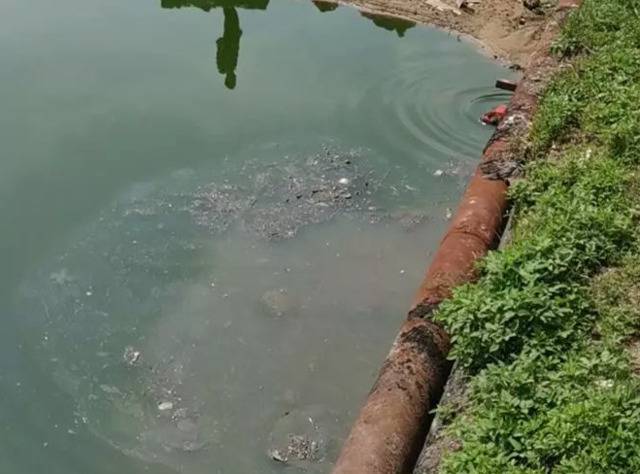 福建福清江阴港城经济区治污不力 部分海域水质严重恶化