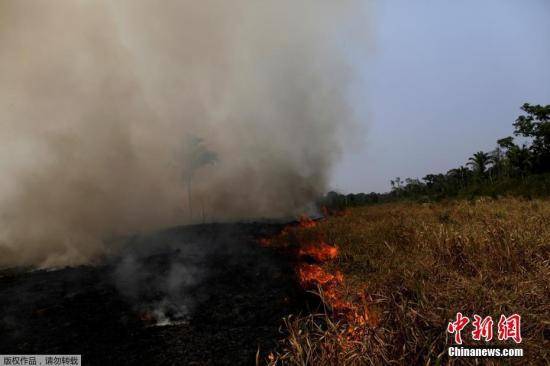 巴西亚马孙雨林大火，浓烟滚滚满目苍夷。