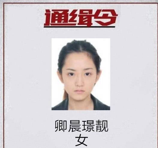 “最美女嫌犯”想出狱后做网红？守法才是正道