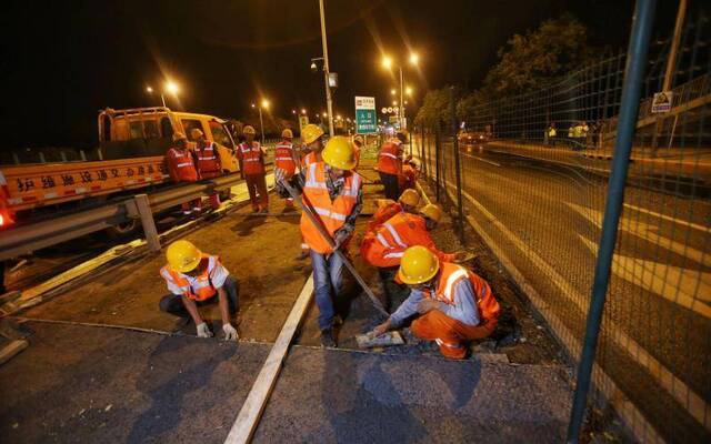 废弃树枝“变身”路面材料 未来有望应用于城市道路