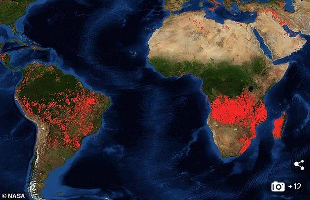 比亚马孙大火更严重 地球这个区域正遭受更大浩劫