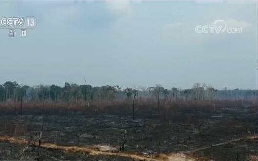 亚马孙雨林着火点超7万处 达9年以来起火次数峰值