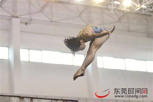 省青少年跳水锦标赛落幕，东莞队名列奖牌榜第一