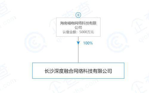 ZAO运营公司架构。图片来源：企查查