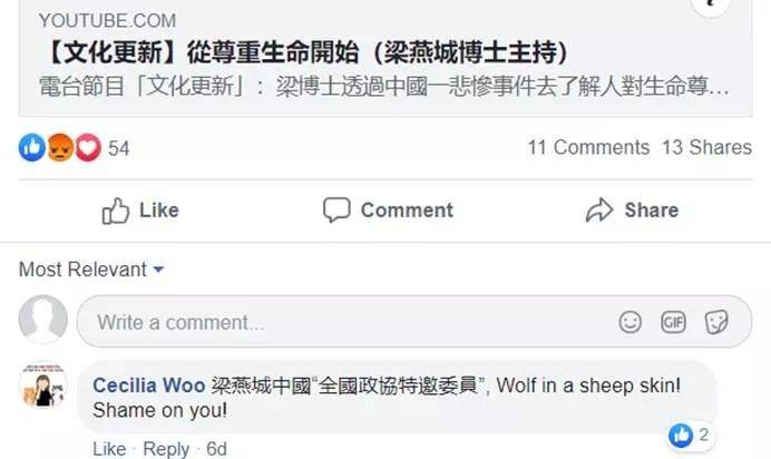 加华人评论员发表有关香港言论 遭到疯狂网络暴力