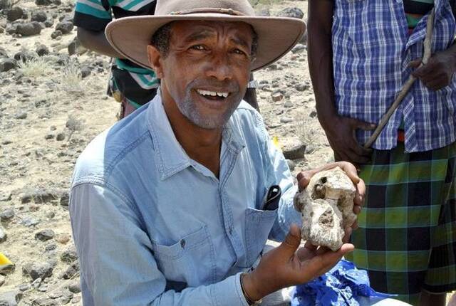 埃塞俄比亚出土380万年前湖畔种南方古猿头骨化石或有助填补人类进化史中的断层