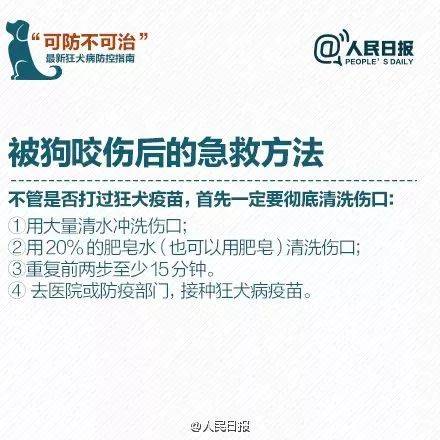 东莞法院判了！骑车被狗撞，养狗者被判负八成责任