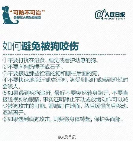 东莞法院判了！骑车被狗撞，养狗者被判负八成责任