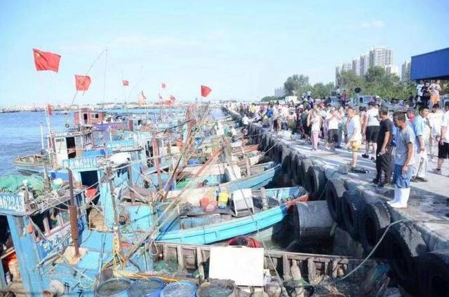 黄渤海地区迎“开渔”海鲜收获量和价格尚未达到“最高”
