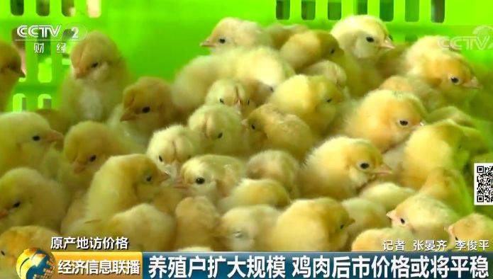 记者产地调查:鸡肉价格怎么走 还能愉快地吃鸡否?