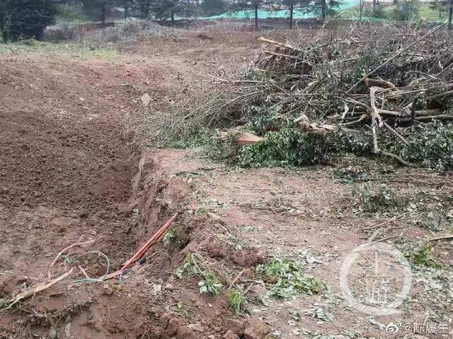 ▲汉画馆围墙遭破坏现场。图片来源：微博用户陈履生