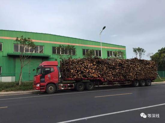 大亚人造板基地路边等待进厂的货车《等深线》记者张家振摄影