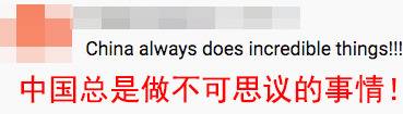 中国司机这波逆天操作火了 海外网友表示：服气