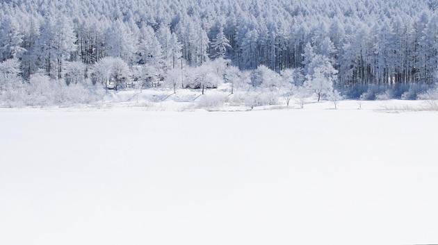 林海雪原剧照