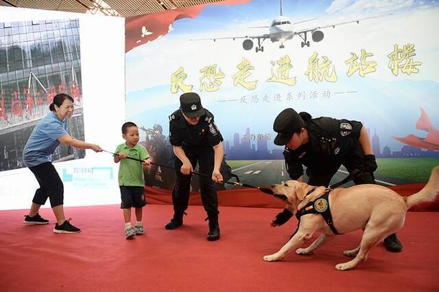 反恐宣传进机场旅客警犬“拔河”比赛