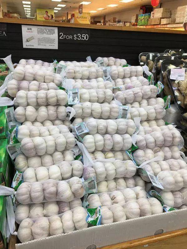 美国超市出售的中国大蒜，10头售价3.5美元。新华社记者夏林摄