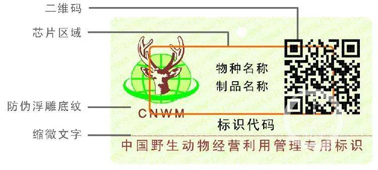 药企用穿山甲入药 相关部门：加载专用标识可流通