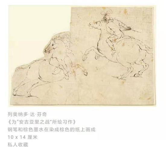 央美展出达芬奇假画？画作在国外被轰“骗局”