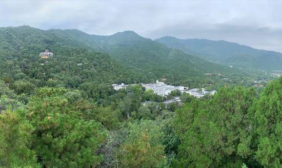 △北京香山。（央视记者米鹤拍摄）