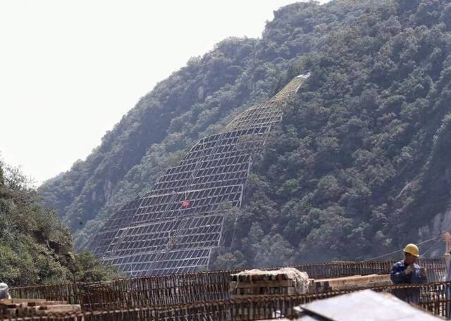 延崇高速山区段绿化年内完工，原生苗木“回家”服务冬奥