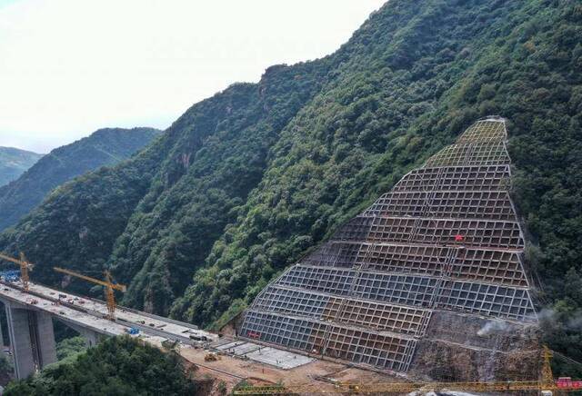 延崇高速山区段绿化年内完工，原生苗木“回家”服务冬奥