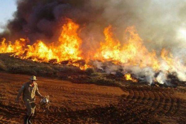潘塔纳尔沼泽地区火灾频发（巴西《里约时报》网站）