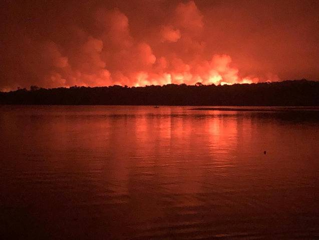 巴西帕拉州森林大火再次失控