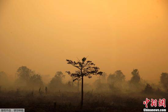 资料图：当地时间2013年6月24日，印度尼西亚烧荒引起的雾霾天气仍在继续，受其影响的邻国马来西亚23日宣布南部两个地区进入紧急状态。图为印尼廖内省户外。
