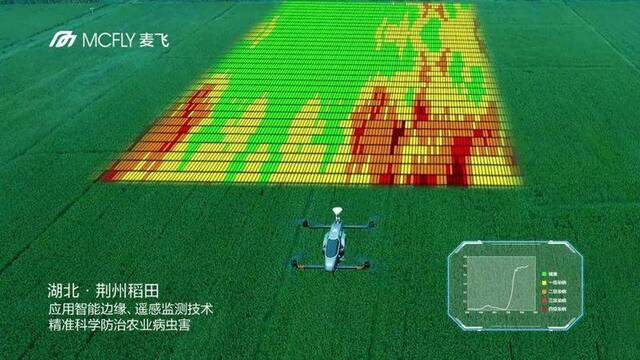 AI养猪、遥感杀虫和卫星种粮 智慧农业中国新希望