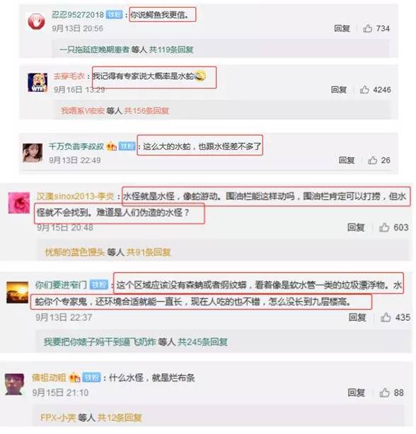 视频＝真相？“三峡水怪”竟是一条“乌龙”！