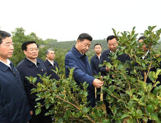 习近平：一定要把我国制造业搞上去把实体经济搞上去